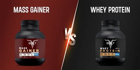 mass gainers vs whey protein|Mass Gainer vs Whey Protein: The Differences That .